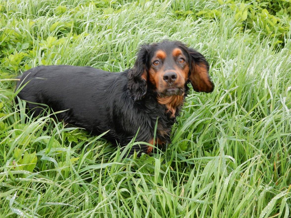 KASH GRASS 2  130518.jpg