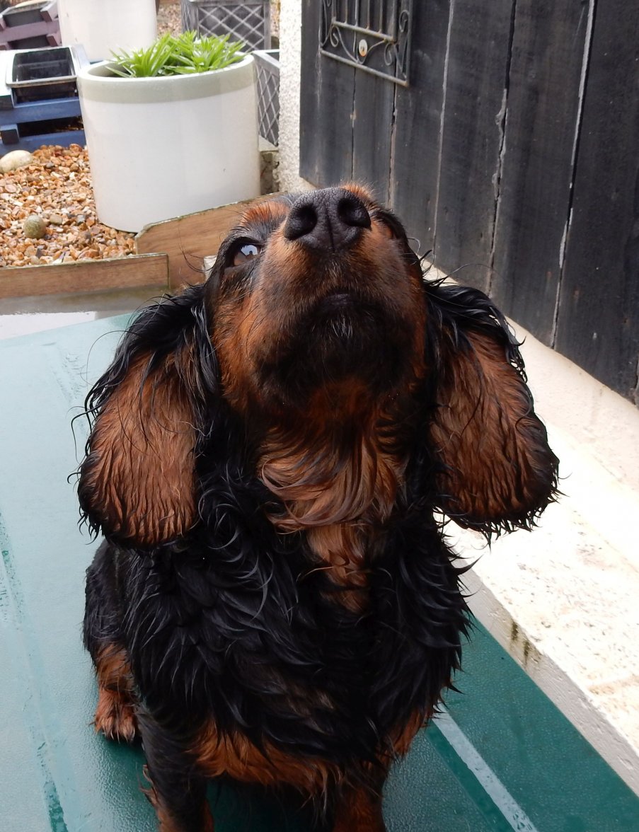 WET KASH 2  130518.jpg