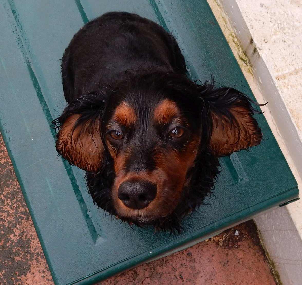 WET KASH 3  130518.jpg