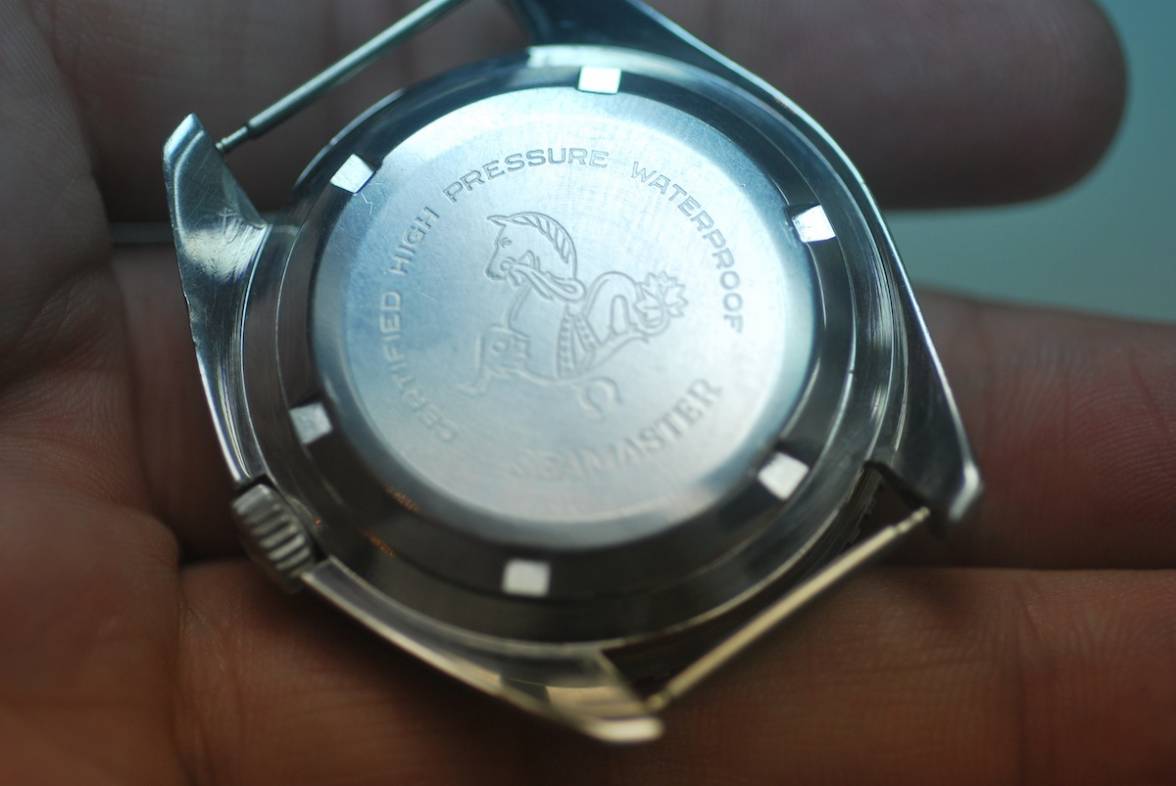 DSC_0966.JPG DSC_0966.JPG