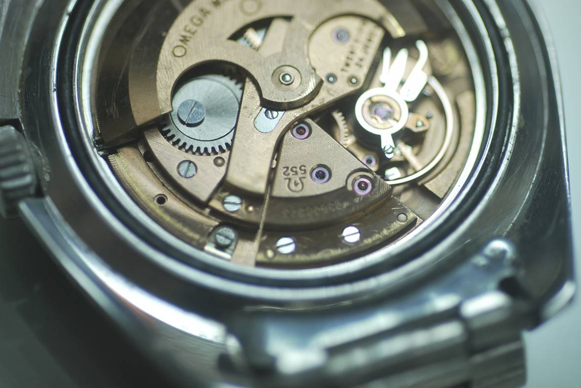 DSC_0446.JPG DSC_0446.JPG