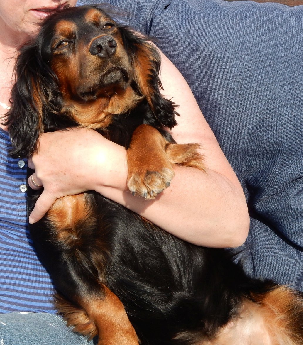 KASH CUDDLE 1.jpg KASH CUDDLE 1.jpg