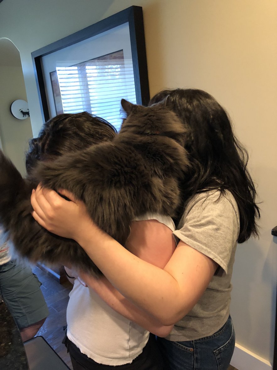 P6qXVQX%Svma6gg3VKqiYQ.jpg P6qXVQX%Svma6gg3VKqiYQ.jpg