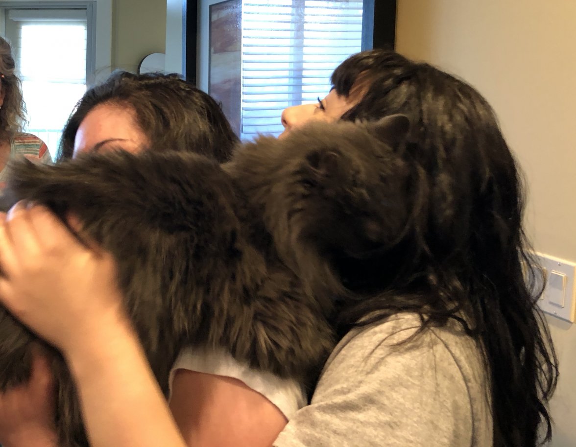 fullsizeoutput_13d1.jpeg fullsizeoutput_13d1.jpeg