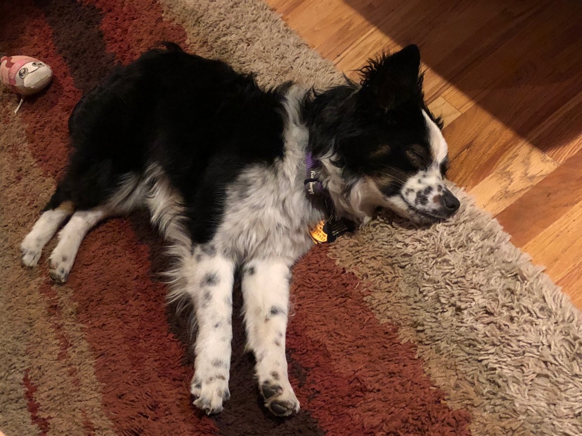 IMG_3350.jpg IMG_3350.jpg