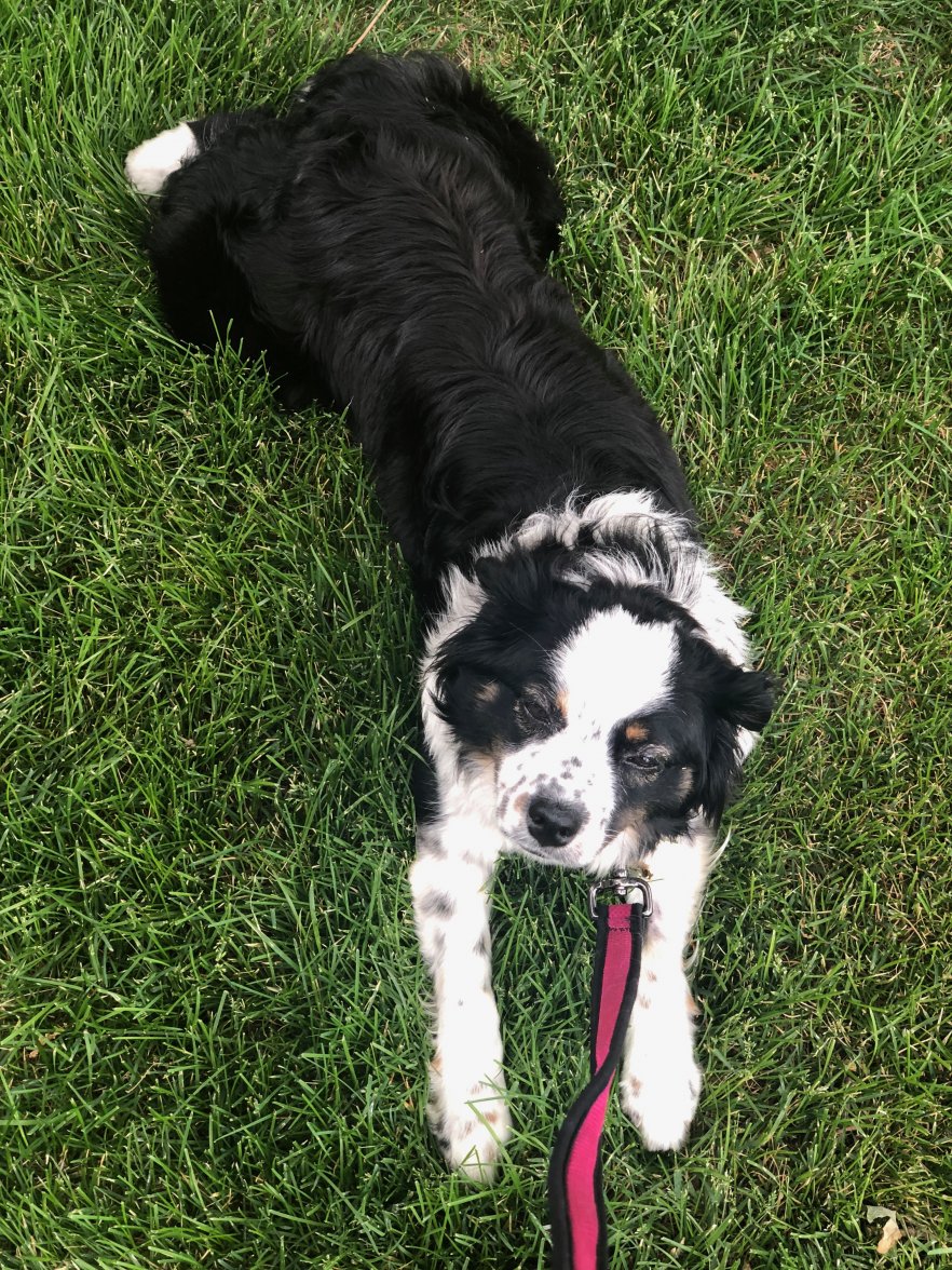 IMG_3387.jpg IMG_3387.jpg