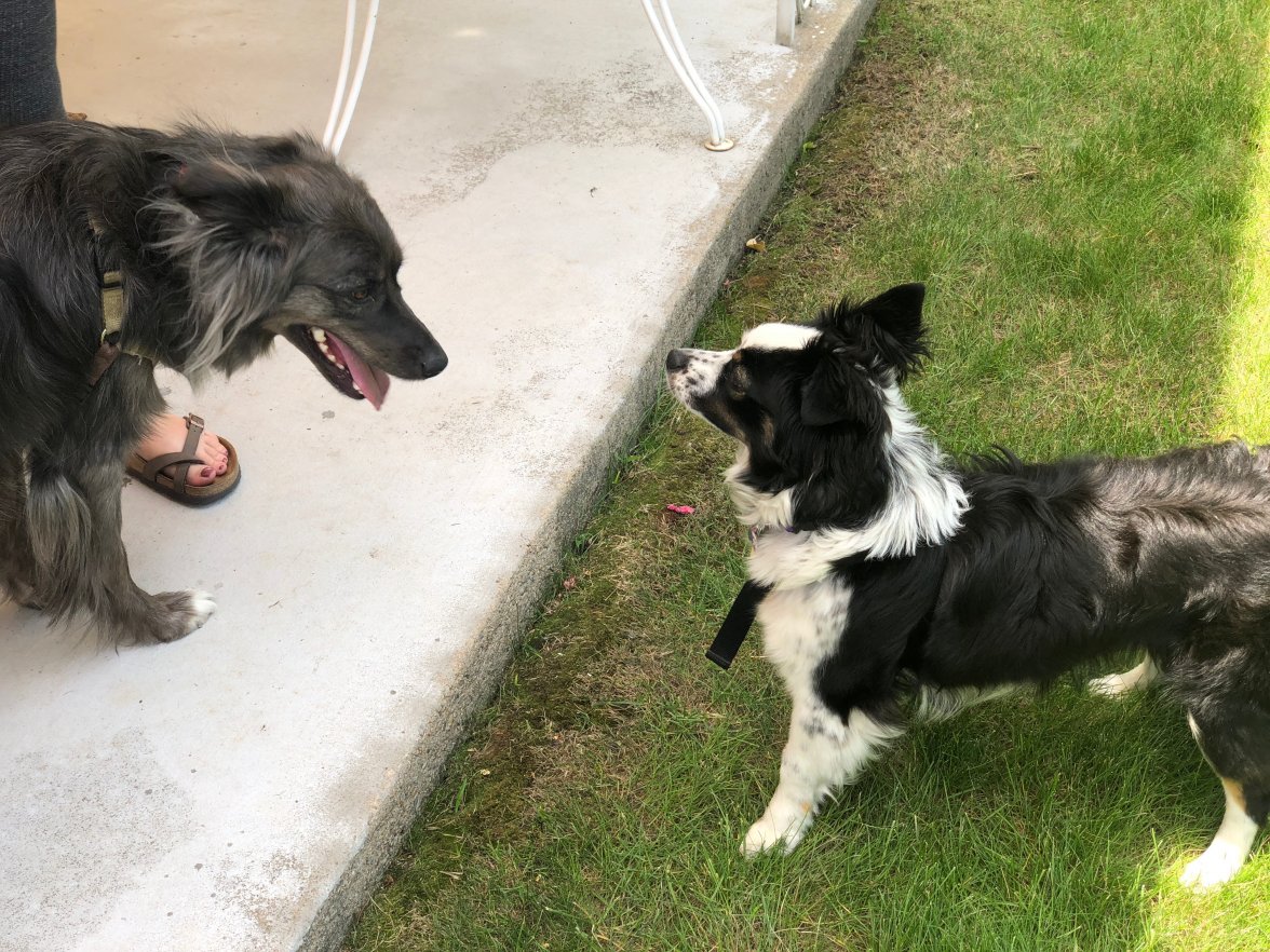 IMG_3359.jpg IMG_3359.jpg