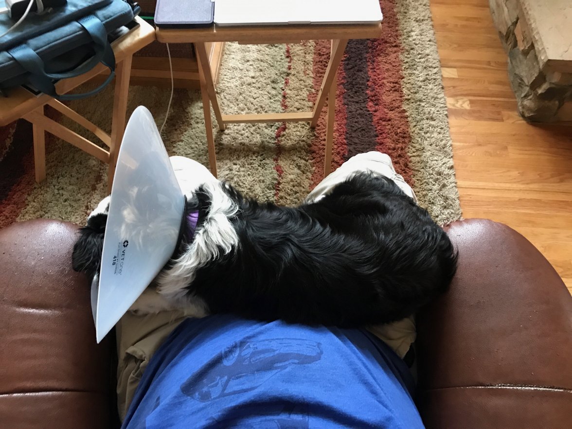 IMG_0496.jpg IMG_0496.jpg