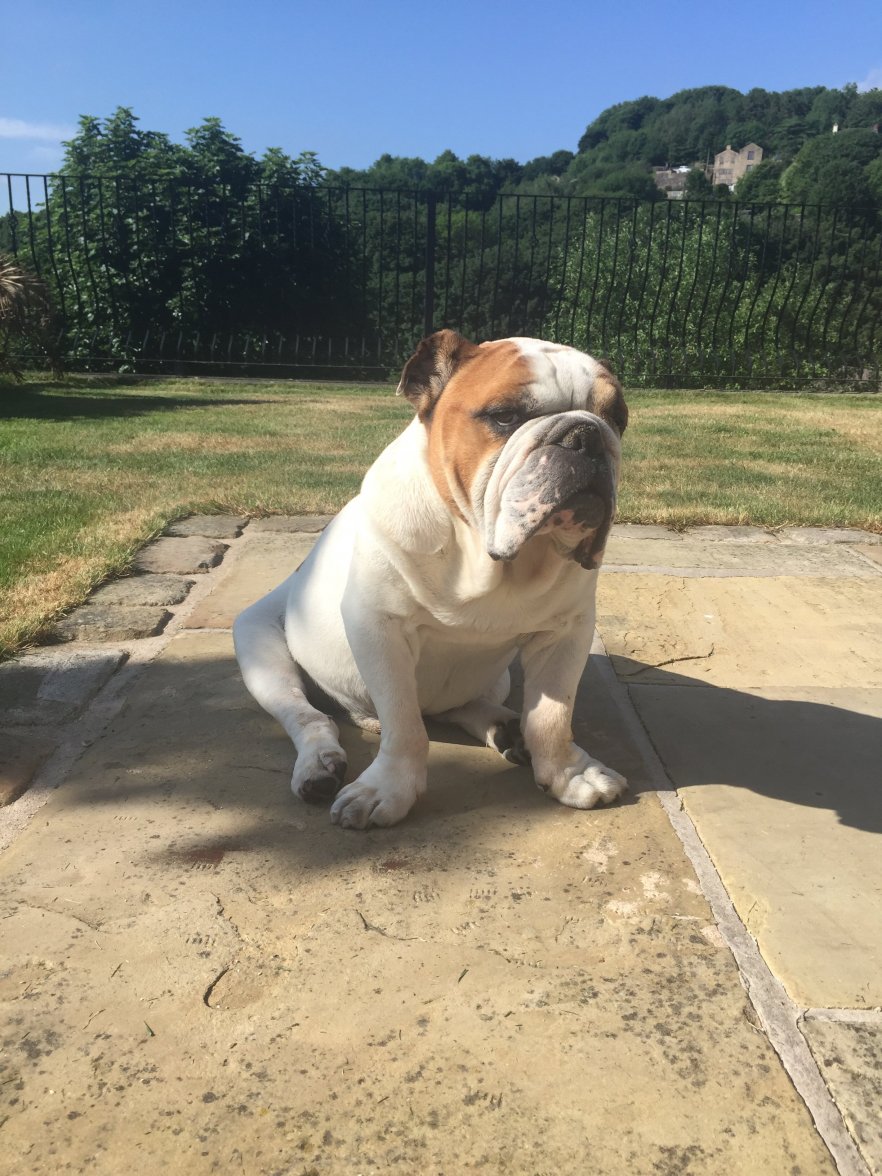 IMG_0599.JPG IMG_0599.JPG