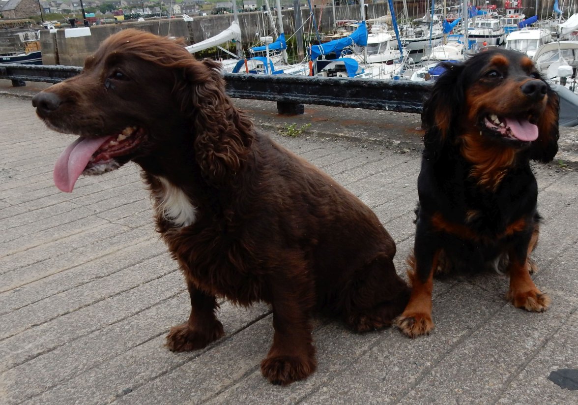 HARBOUR 090618 B.jpg