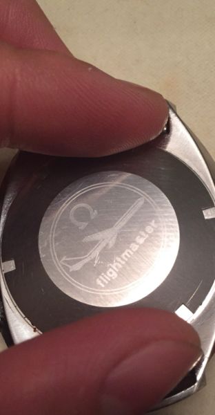 flighty back.JPG flighty back.JPG