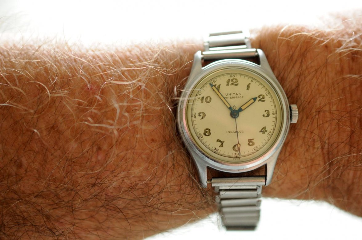 A Reynard_061218 11796.jpg