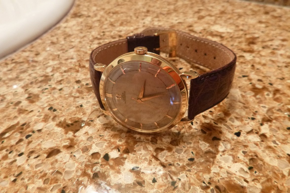 P1010081.JPG P1010081.JPG