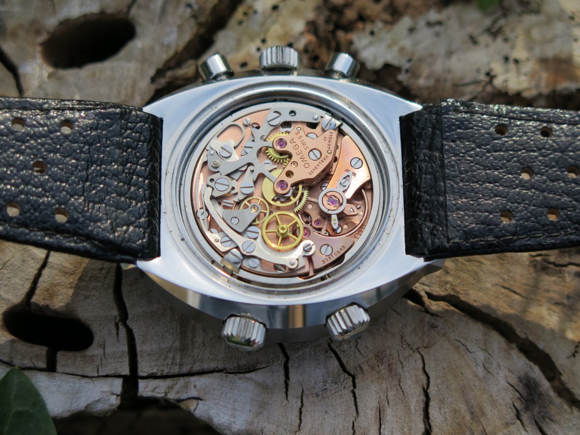 IMG_2529.JPG IMG_2529.JPG