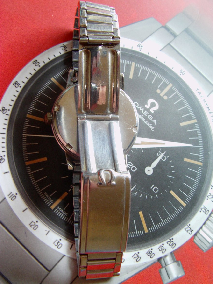 IMAG1770.jpg IMAG1770.jpg