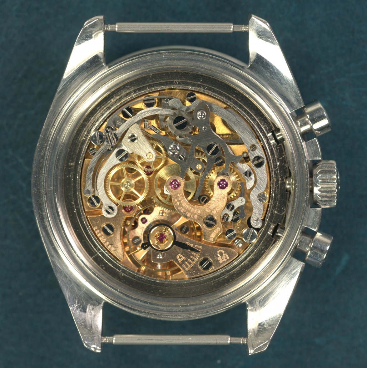 P6180006.jpg P6180006.jpg