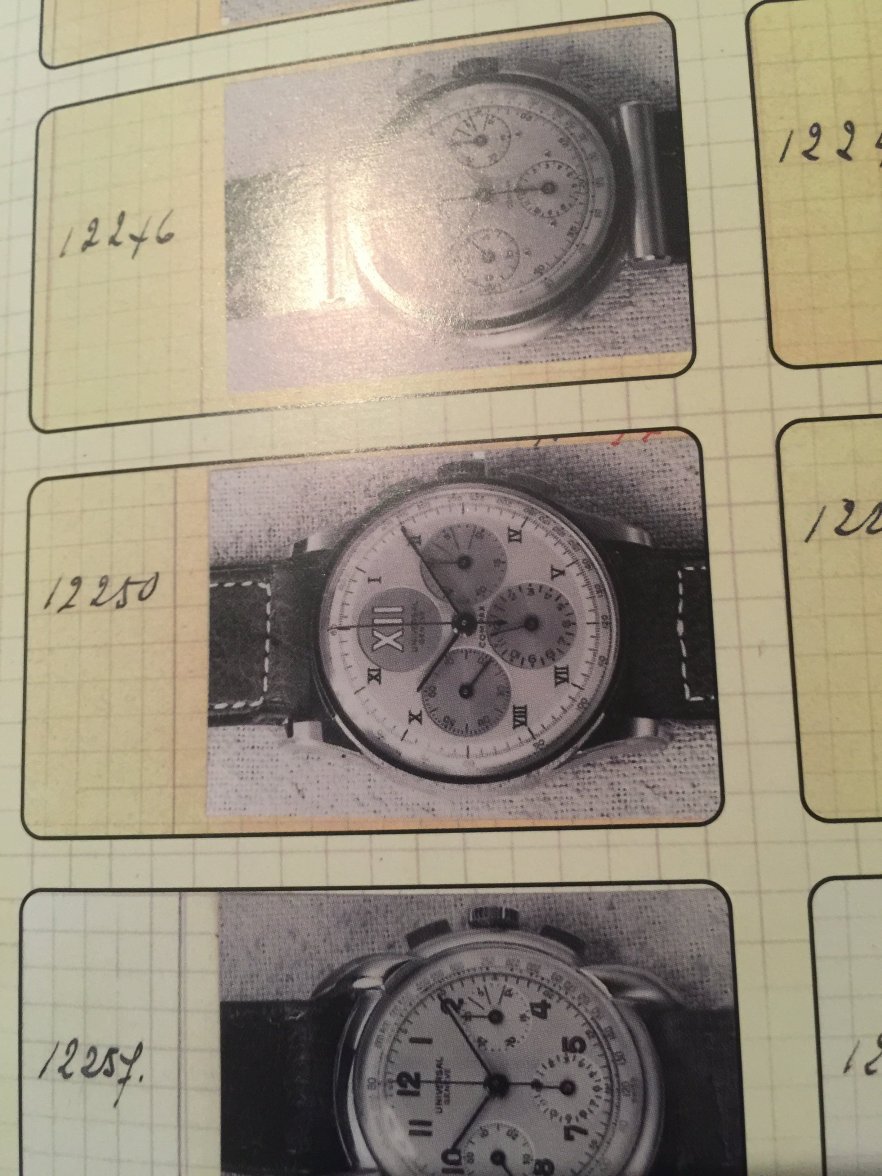 D7EA5566-2573-40AC-B80C-D4B421BD9F47.jpeg D7EA5566-2573-40AC-B80C-D4B421BD9F47.jpeg