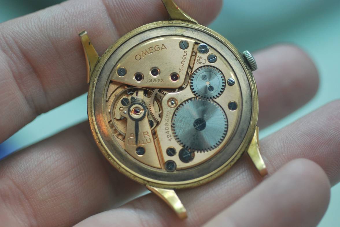 DSC_1000.JPG DSC_1000.JPG