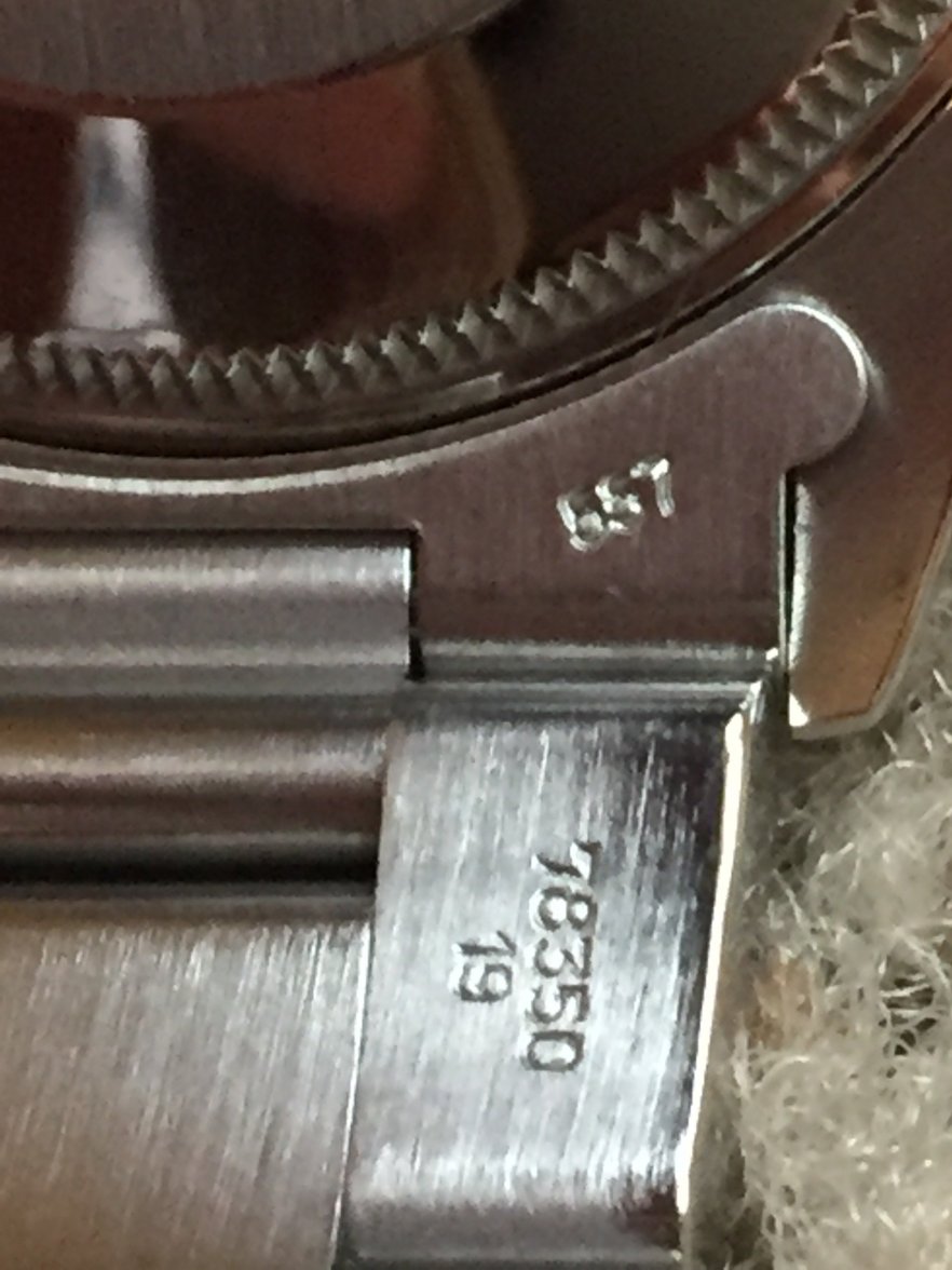 IMG_1383.JPG IMG_1383.JPG