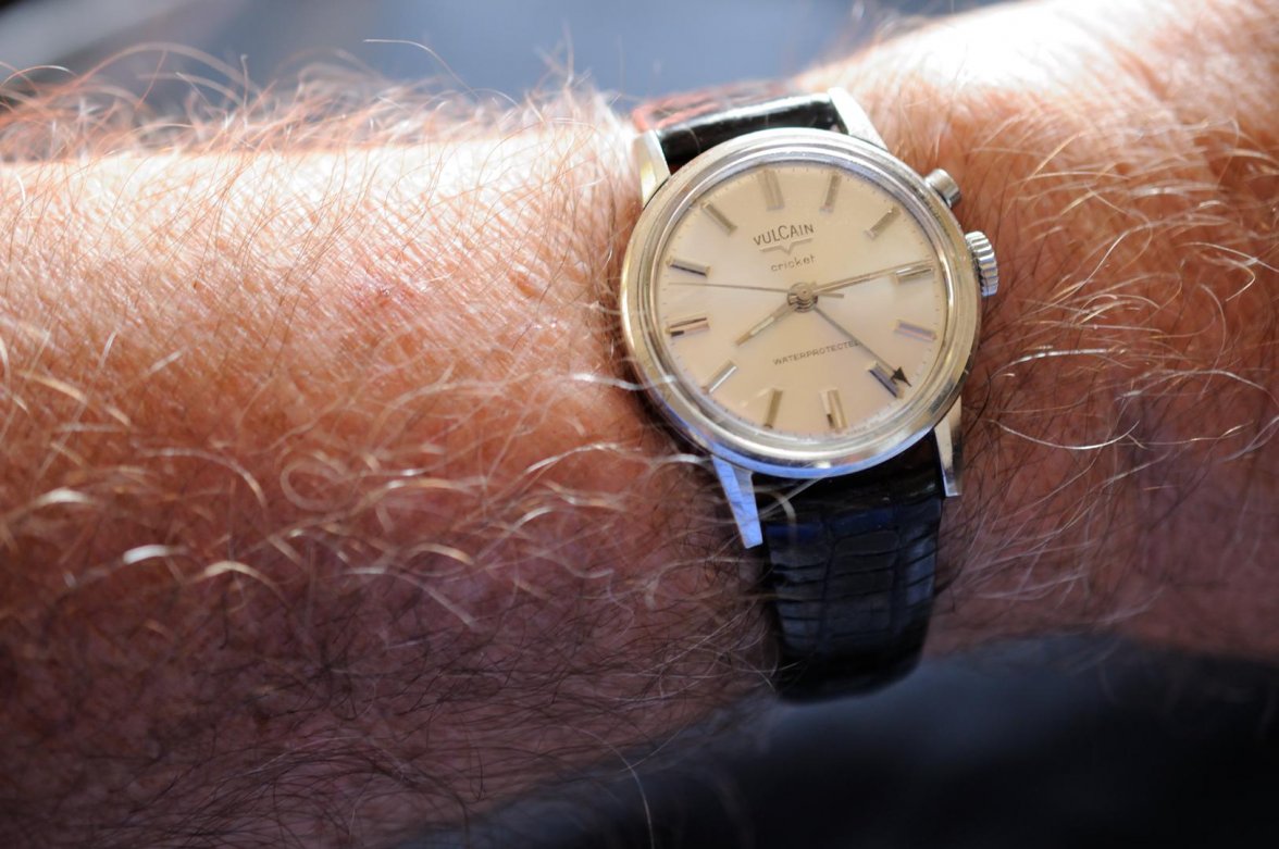 Cricket_062518 11853.jpg