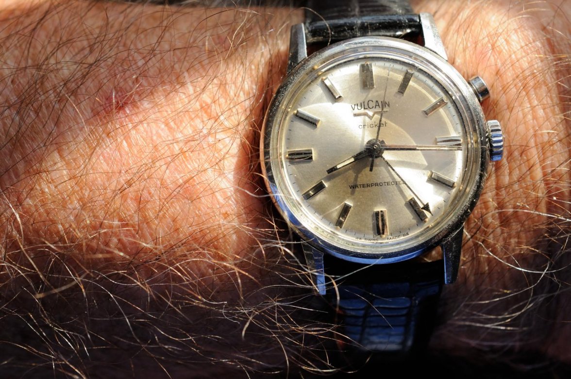 Cricket_062518 11868.jpg