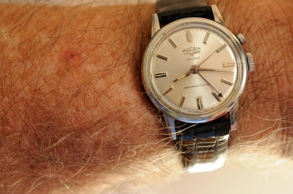 Cricket_062518 11879.jpg