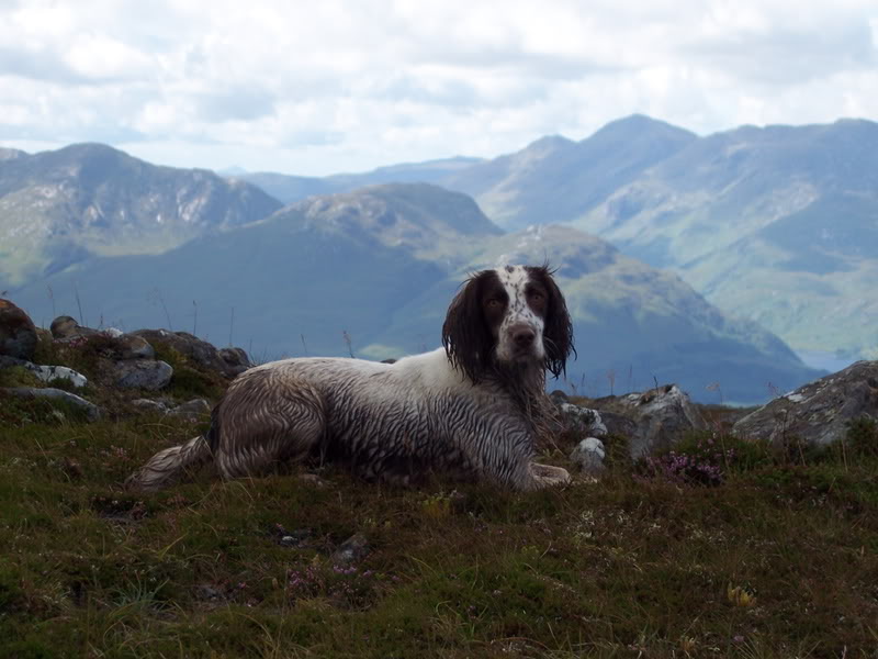 MISTY ABOVE FAIRWATER 3.jpg