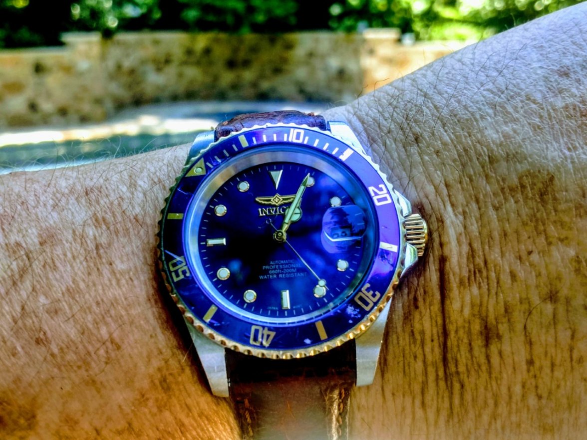 Blue Pro-Diver.jpg