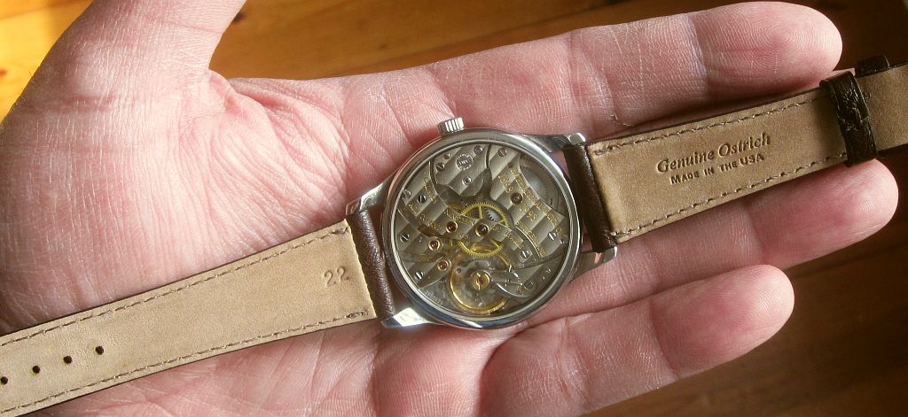 5441 back 1 IMG_8636.jpg