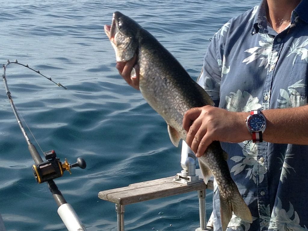 fishing ws 1c IMG_5565.jpg