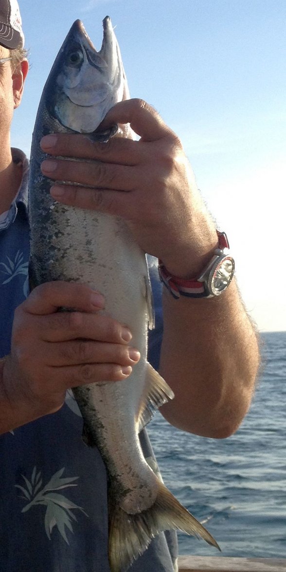 fishinng ws 2 IMG_5546.jpg