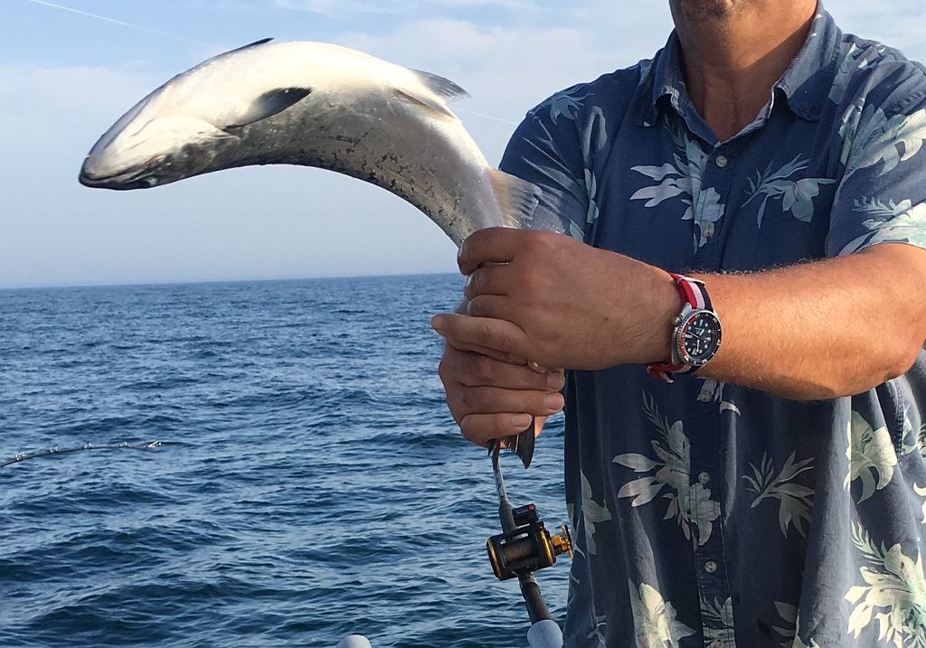 fishing ws 3 IMG_0327.jpg