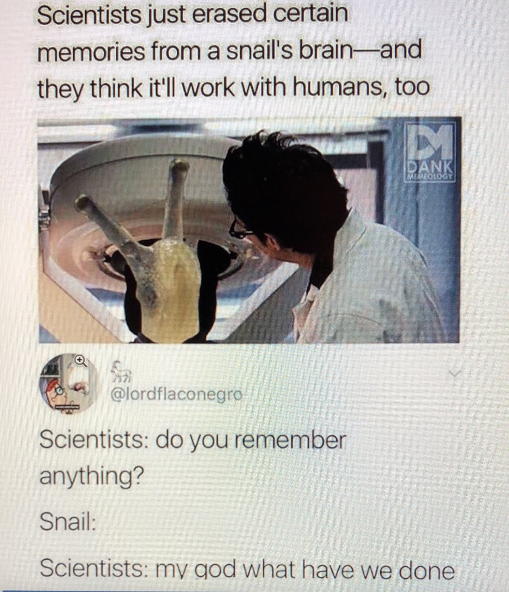 218E9EEF-A174-4380-BDE4-AD320CE12F60.jpeg 218E9EEF-A174-4380-BDE4-AD320CE12F60.jpeg