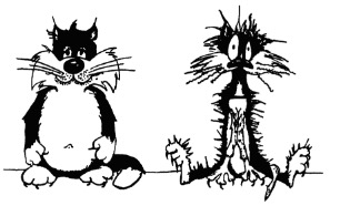 Screen Shot 2018-07-10 at 9.13.56 PM.jpg