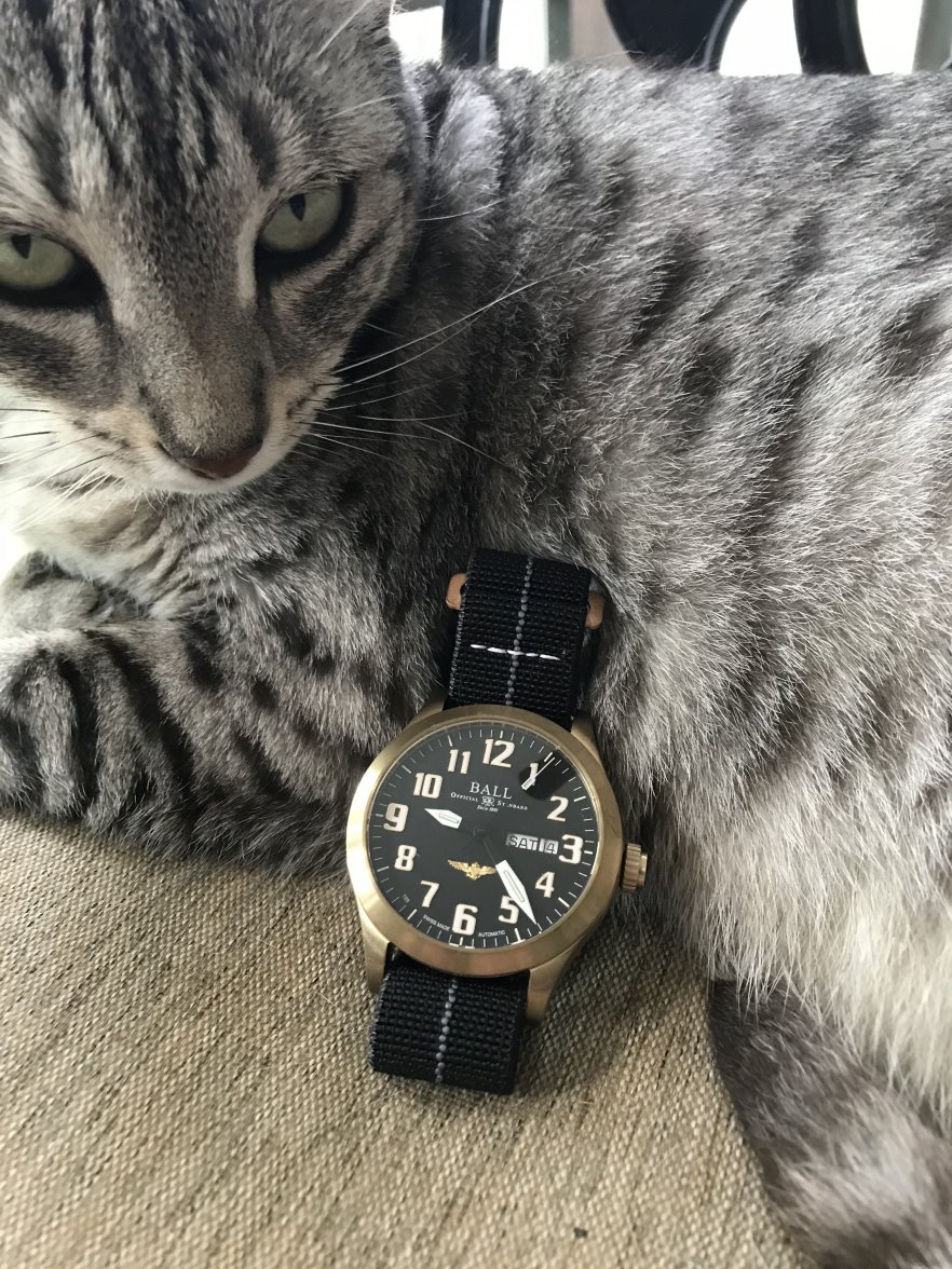 Mika and Bronze Ball.JPG