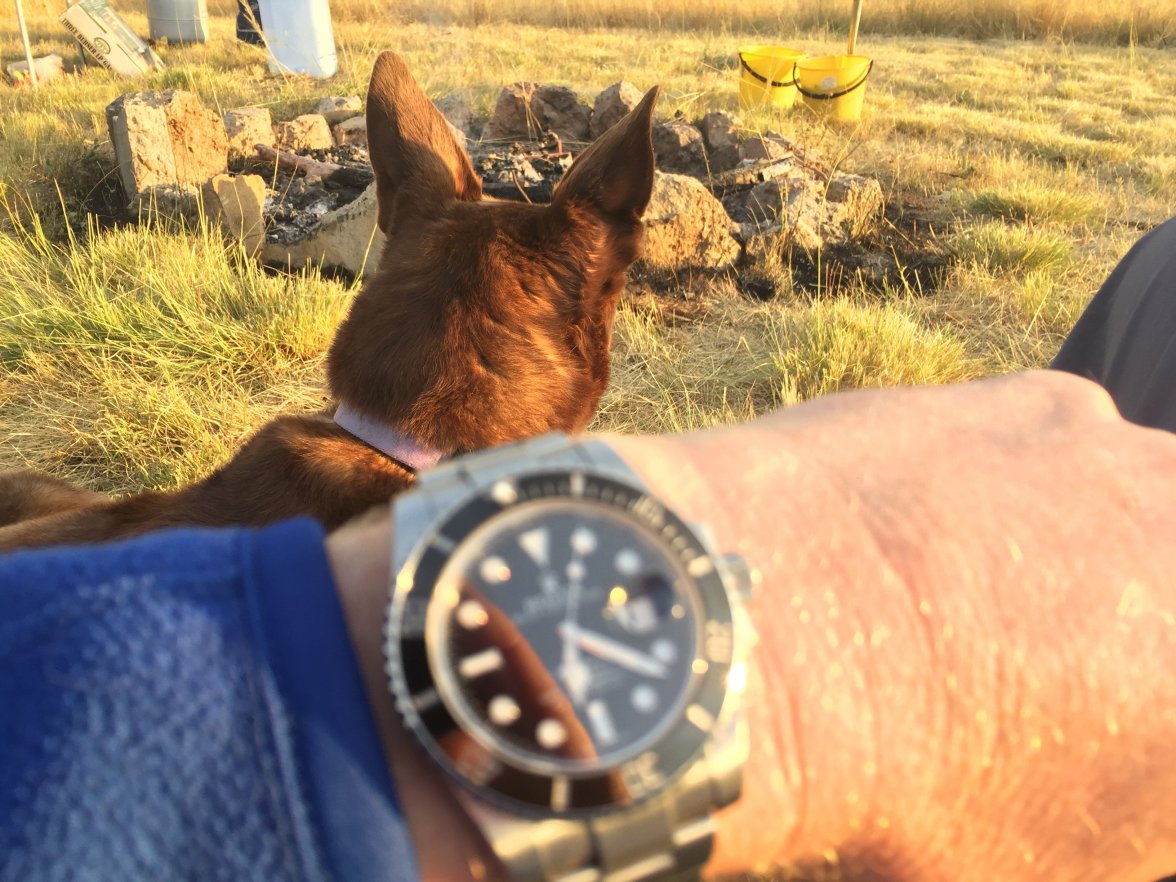 1D8CDF6B-1717-4F75-BC70-F957F374E717.jpeg 1D8CDF6B-1717-4F75-BC70-F957F374E717.jpeg