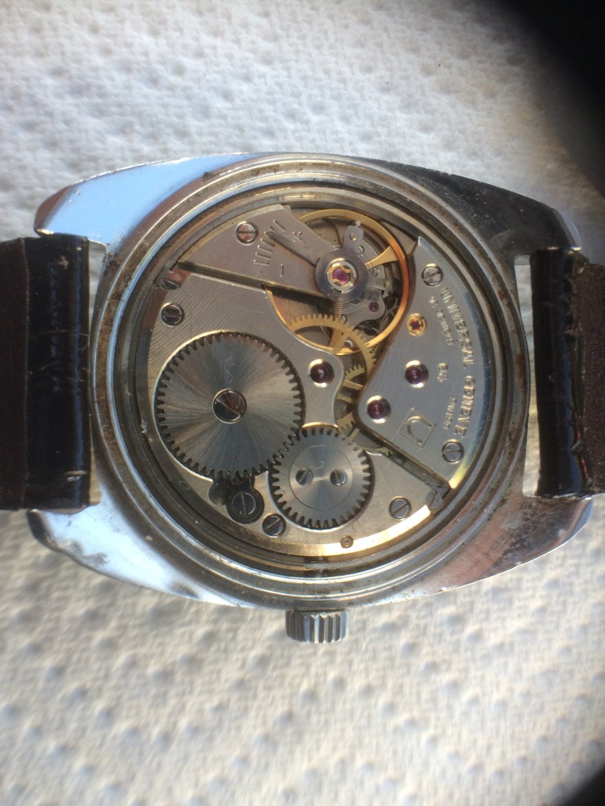 394BDCE1-D2F8-42EA-8C42-88388414E28A.jpeg 394BDCE1-D2F8-42EA-8C42-88388414E28A.jpeg