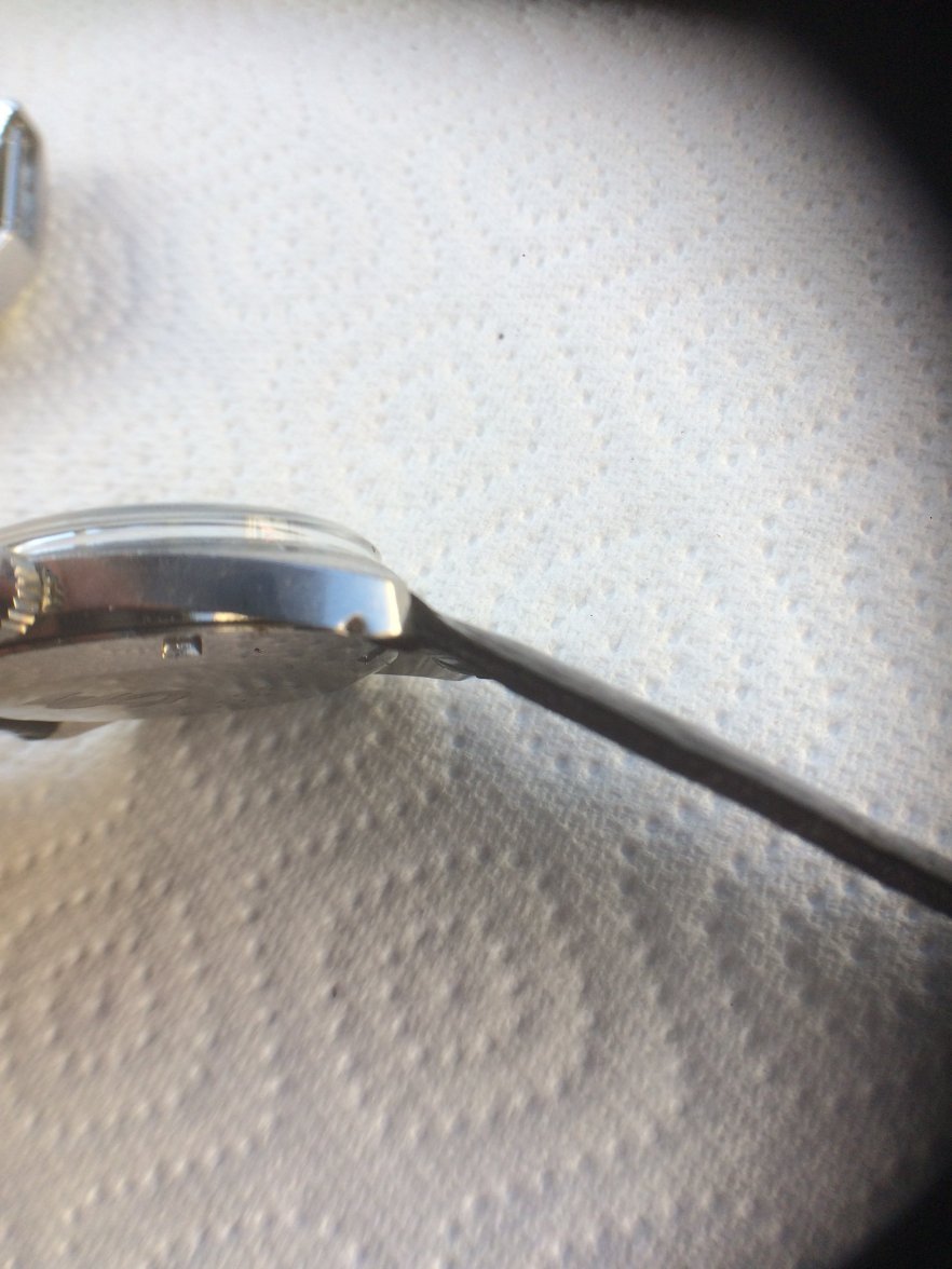 2CC6E8DA-EA94-469C-B485-9CA10890572D.jpeg 2CC6E8DA-EA94-469C-B485-9CA10890572D.jpeg