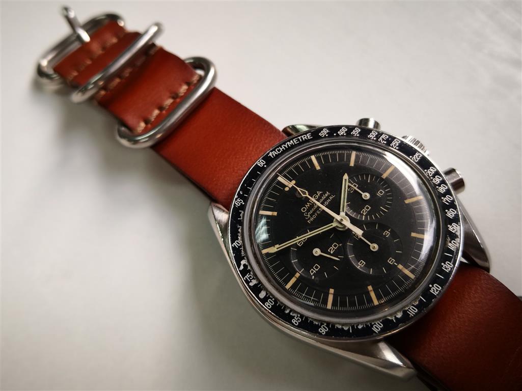 IMG_20180718_084929 (Medium).jpg