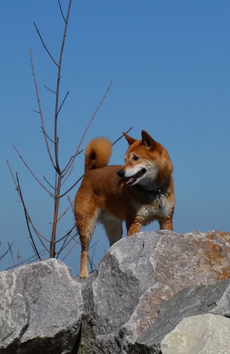 Banzai Urn Picture.jpg