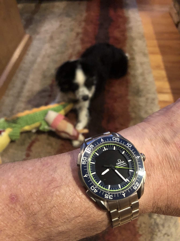 Omega Speedmaster X-33 with dog.jpg