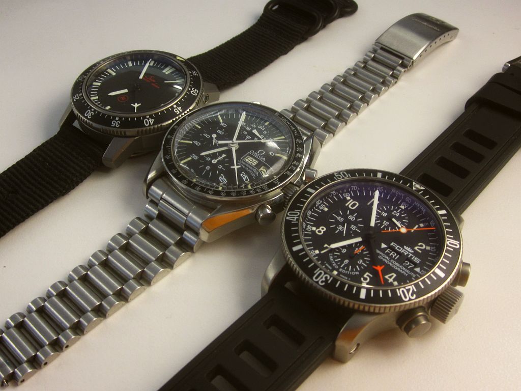 EZM HG Fortis side IMG_9134.jpg