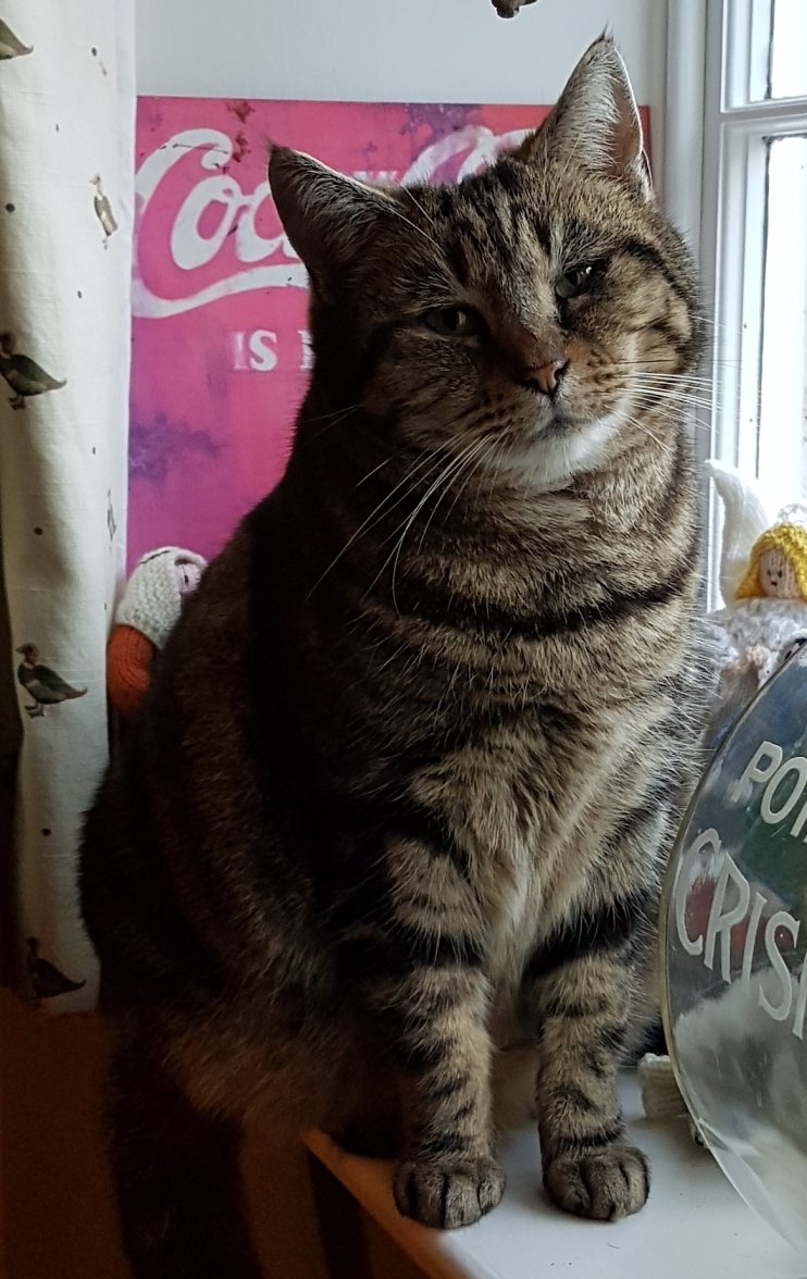 Pepper March 2018 edit.jpg