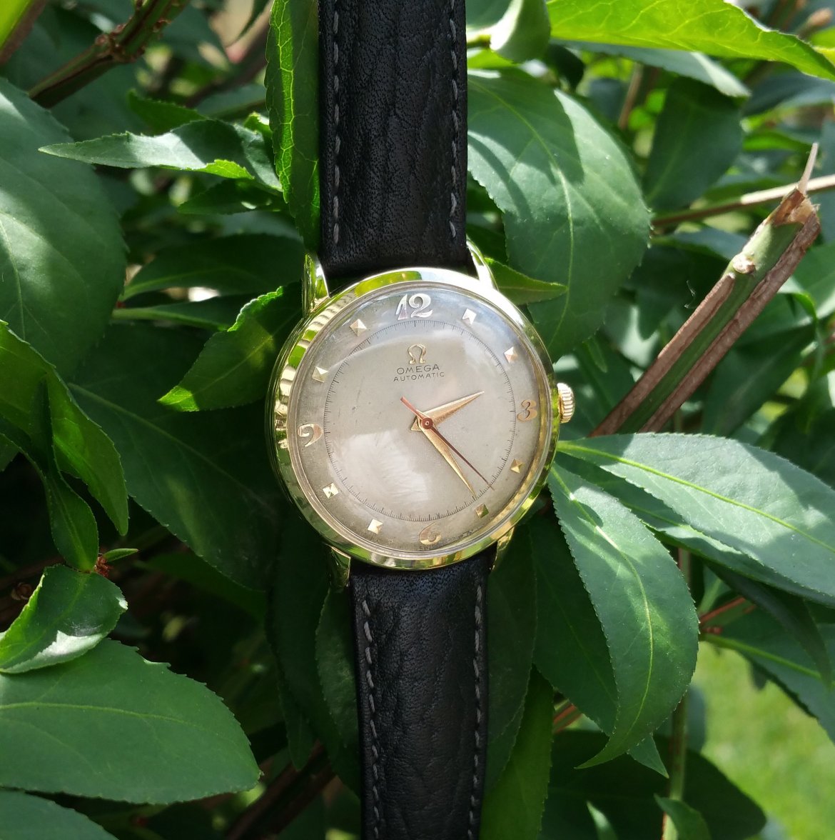 20160707_142456 (2).jpg