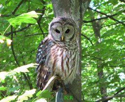 John Duesbury Album.jpg