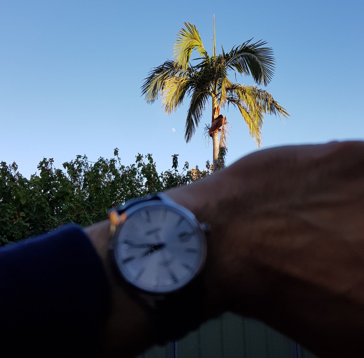 20180802_084831 (2).jpg