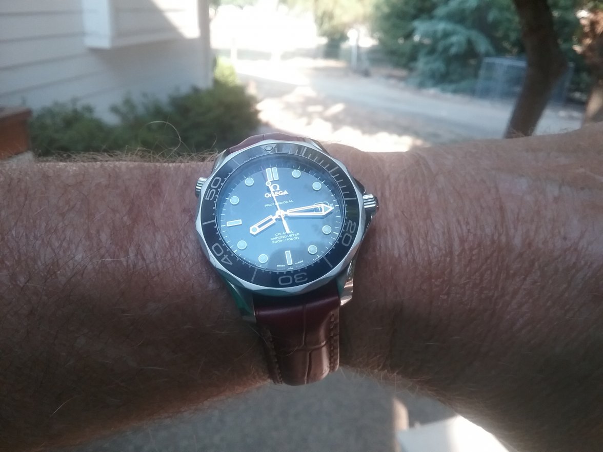20180812_081600.jpg