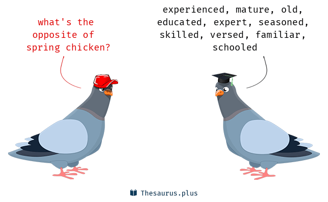 spring_chicken.png