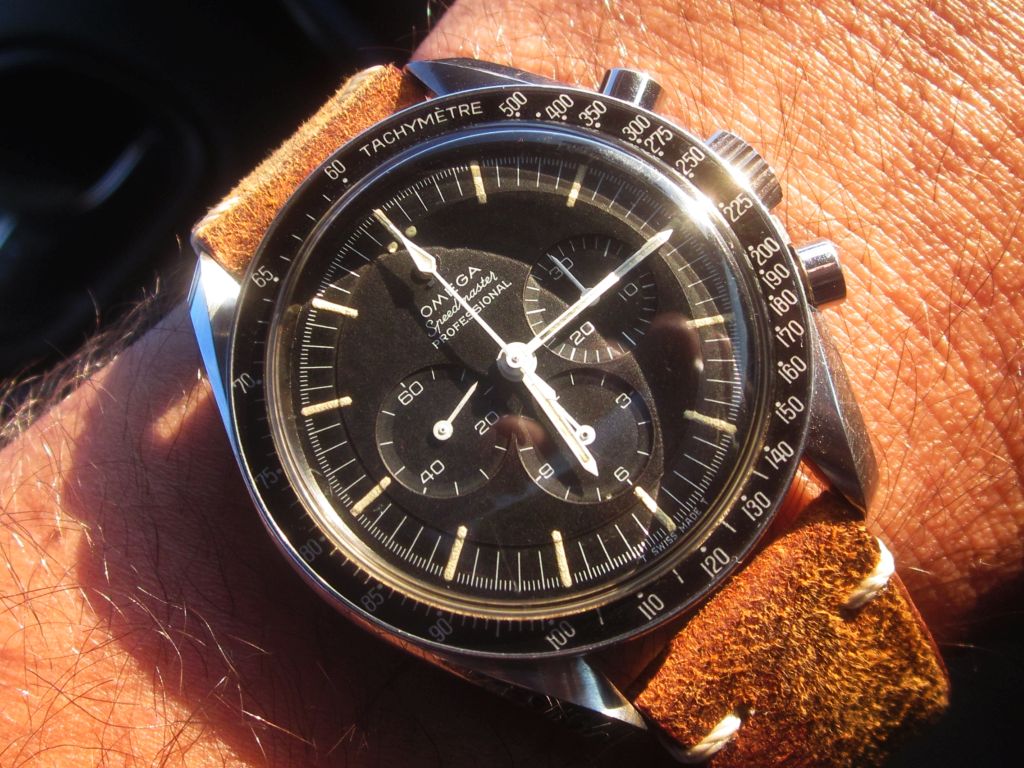 SP ws 1b IMG_9039.jpg