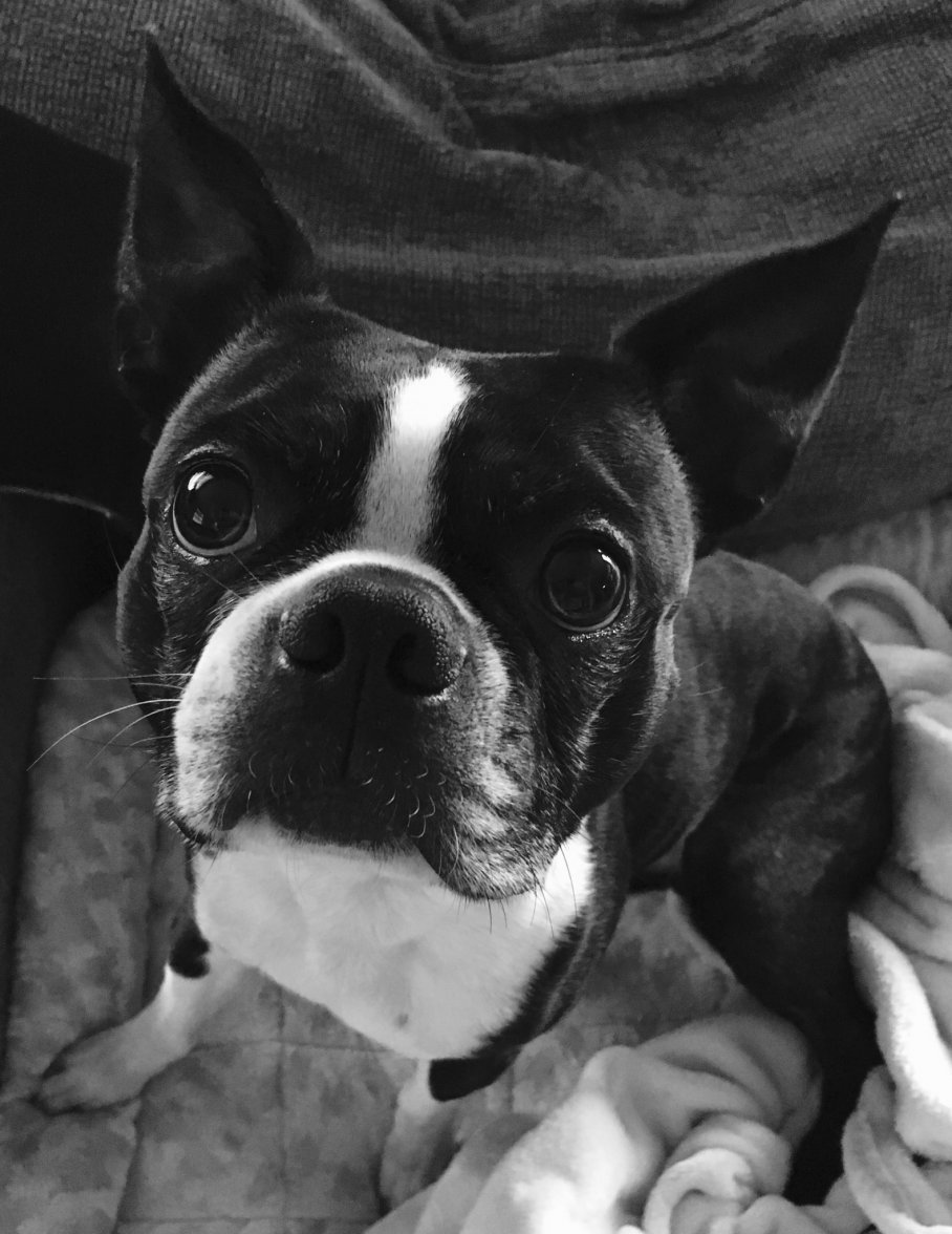 1D455AC1-513D-4AA2-8E0A-855254CF89D9.jpeg 1D455AC1-513D-4AA2-8E0A-855254CF89D9.jpeg